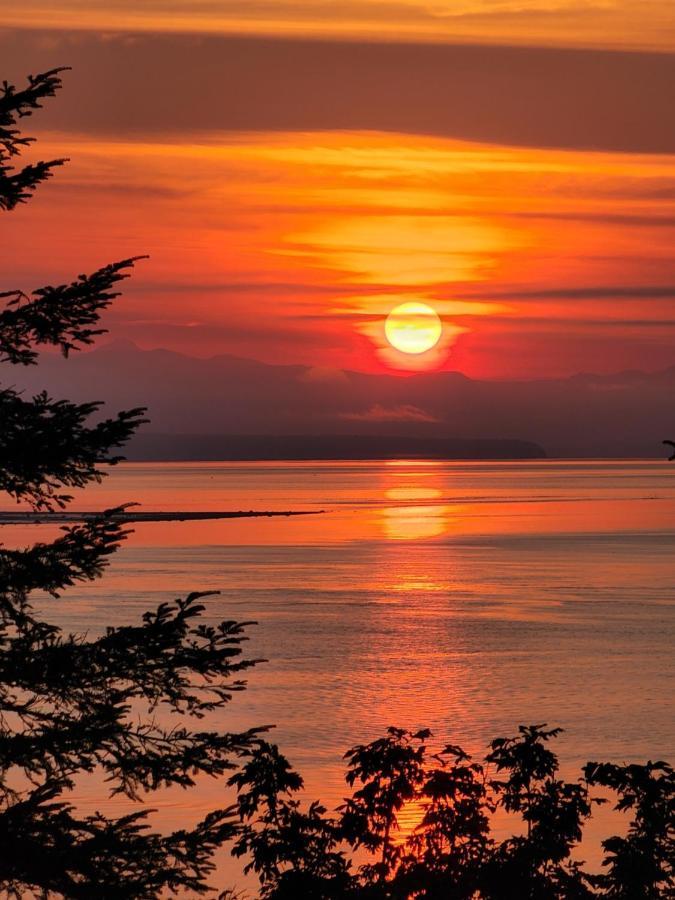 Ocean'S Edge Suite Campbell River Exterior foto