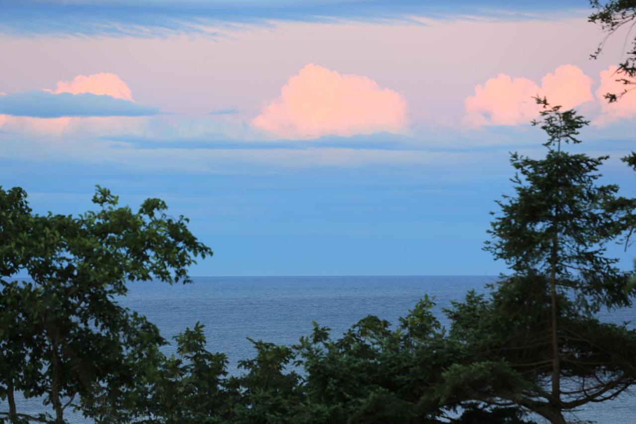 Ocean'S Edge Suite Campbell River Exterior foto